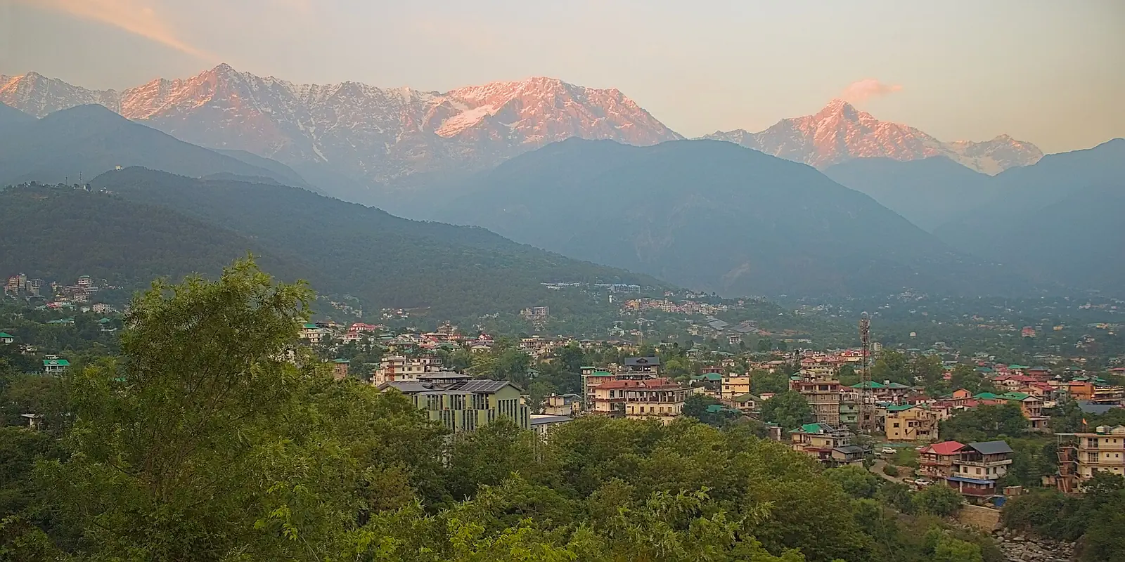 Alpenglow on the Dhauladhar above the Kangra valley
