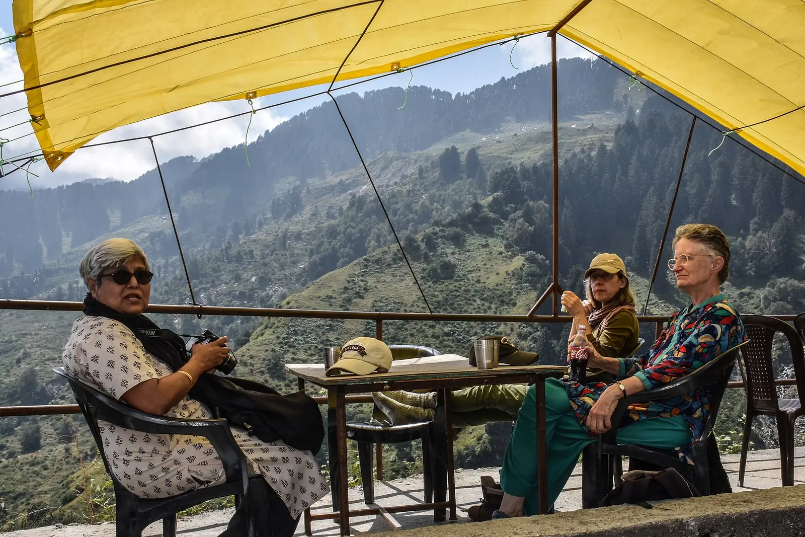 Tea terraces in the Uhl valley, Himachal Pradesh