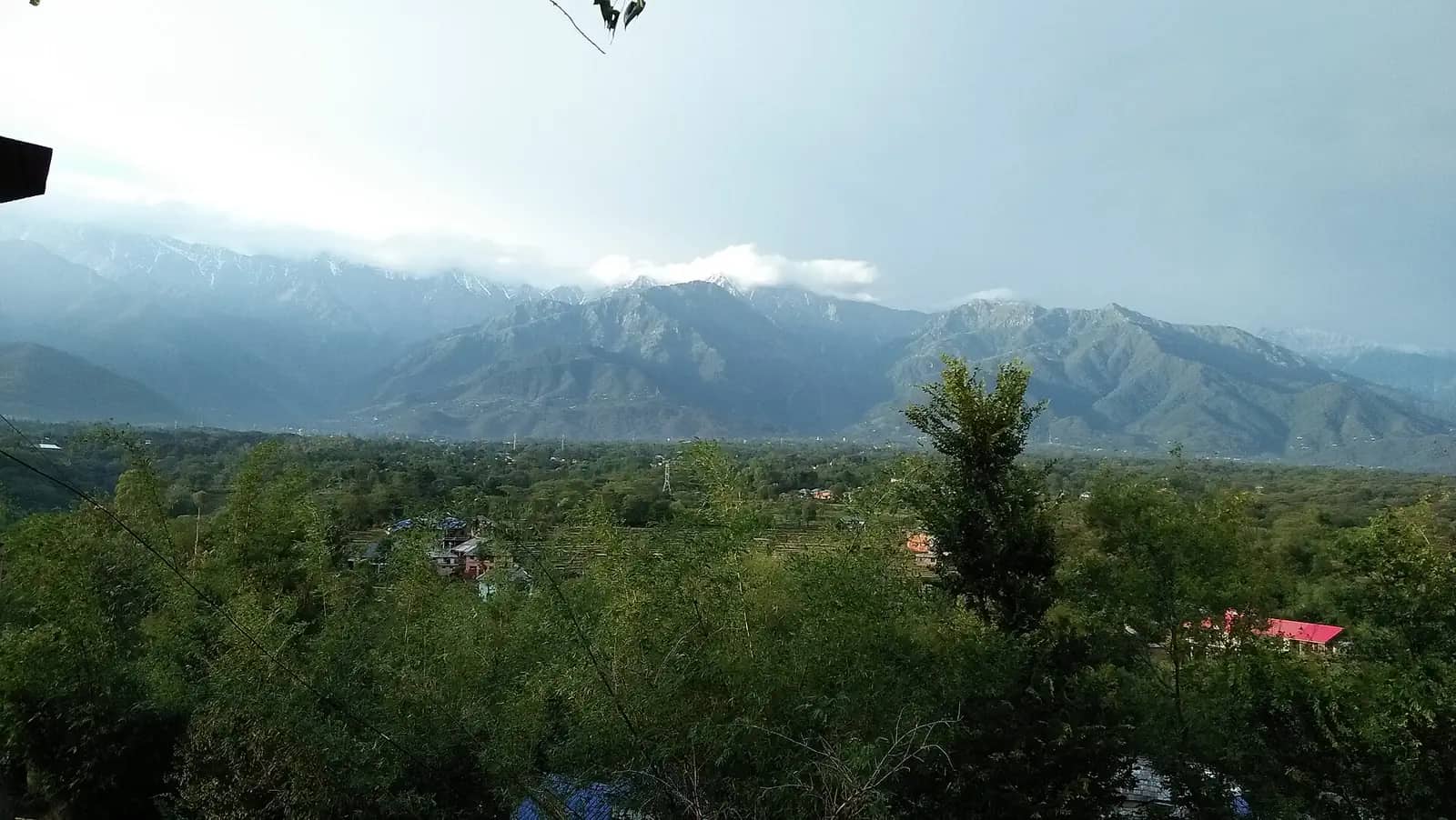 The Dhauladhar range seen from Palampur